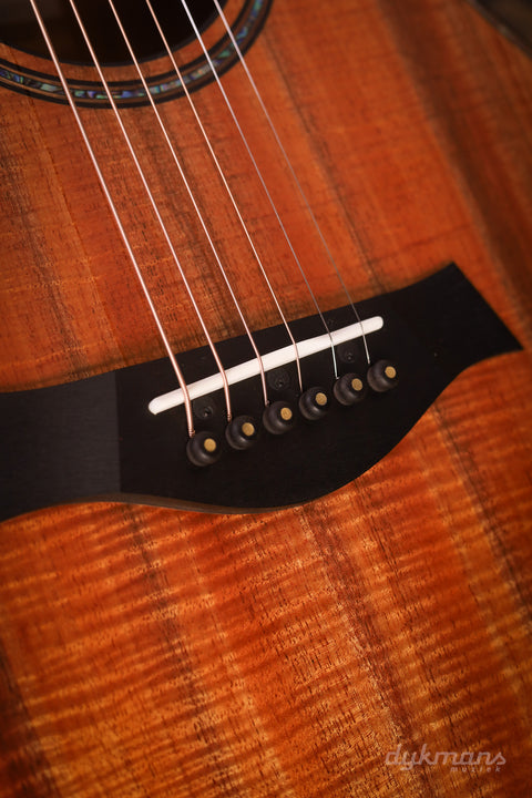 Taylor 924ce-K LTD Koa 50th Anniversary