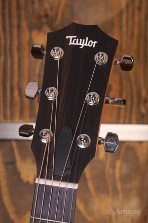 Taylor 212ce Walnuss