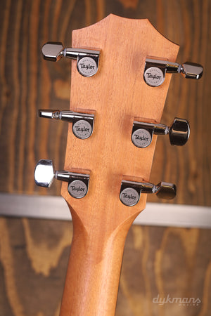 Taylor 212ce Walnuss