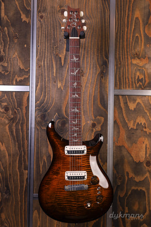 PRS Pauls Gitarre Purple Iris