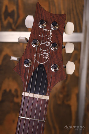 PRS Pauls Gitarre Purple Iris