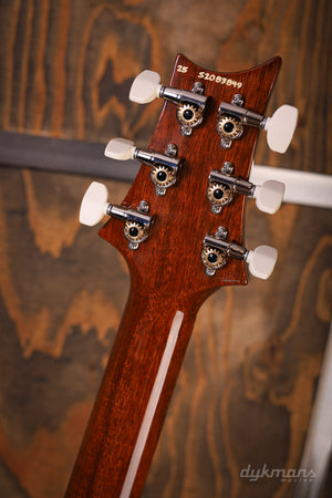 PRS S2 Special 22