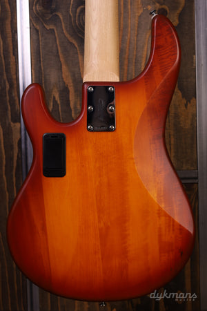 Sterling by Musicman Sub Series GEBRAUCHT