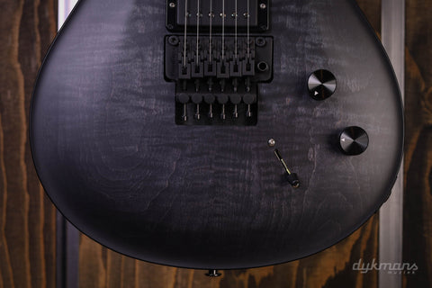 PRS DW CE24 Floyd Grau Schwarz