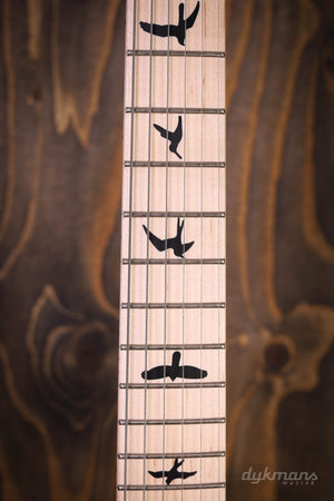 PRS DW CE24 Floyd Grau Schwarz