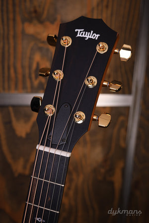 Taylor Limited Edition Sunset Boulevard 117e