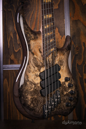Dingwall Custom Shop Z3X-5 Buckeye Burl Natural to Black Burst VORBESTELLUNG!