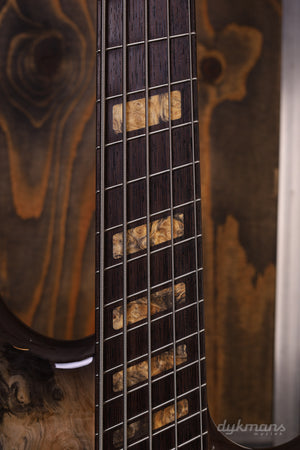 Dingwall Custom Shop Z3X-5 Buckeye Burl Natural to Black Burst VORBESTELLUNG!