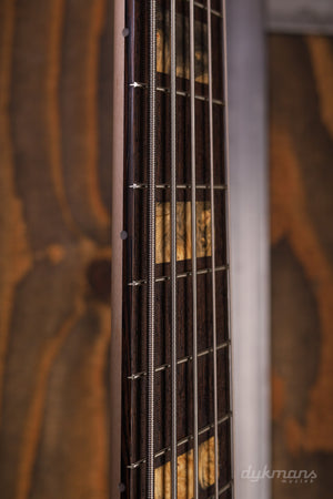 Dingwall Custom Shop Z3X-5 Buckeye Burl Natural to Black Burst VORBESTELLUNG!