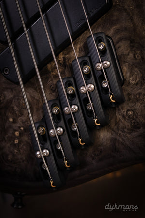 Dingwall Custom Shop Z3X-5 Buckeye Burl Natural to Black Burst VORBESTELLUNG!