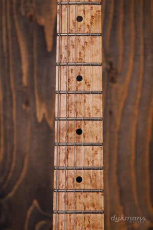 Wayne Guitars (Charvel) Rocklegende Bengal Tiger 2010 GEBRAUCHT!