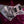 Gibson Explorer 1991 Metallica „Justice for All“ GEBRAUCHT!