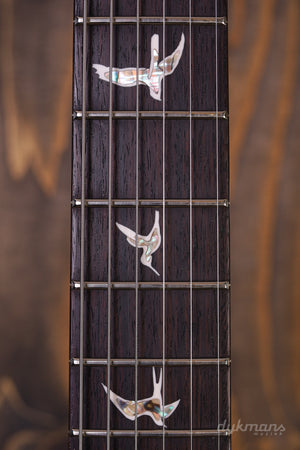 PRS Modern Eagle V Carroll Blue (2024) VORBESTELLUNG