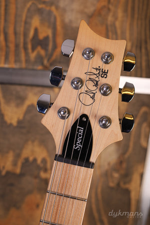 PRS SE Swamp Ash Special Iri Blue VORBESTELLUNG!