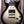 Epiphone Adam Jones 1979 Les Paul Custom Silverburst