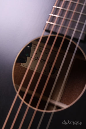 Schwarzes Lakewood-Schaf