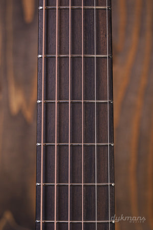 Schwarzes Lakewood-Schaf