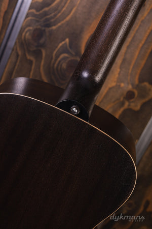 Schwarzes Lakewood-Schaf