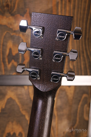 Schwarzes Lakewood-Schaf