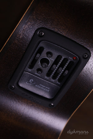 Schwarzes Lakewood-Schaf