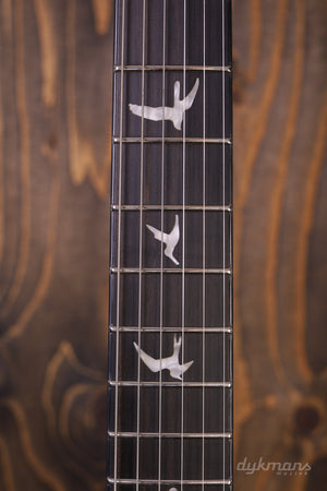 PRS SE Custom 24 „Floyd“ Charcoal Cherry Burst