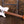 Ibanez LB1-WH Lari Basilio Signature White VORBESTELLUNG