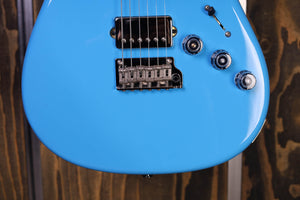 PRS Fiore Rittersporn