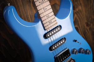 PRS Fiore Rittersporn