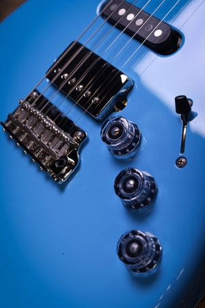 PRS Fiore Rittersporn