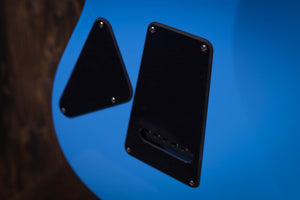 PRS Fiore Rittersporn