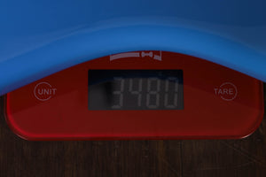 PRS Fiore Rittersporn