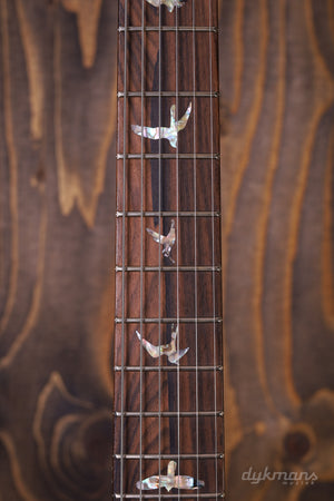 PRS Wood Library Modern Eagle V Gelber Tiger