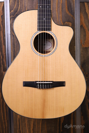 Taylor 212ce Walnuss