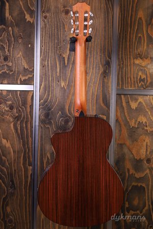Taylor 212ce Walnuss