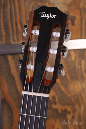 Taylor 212ce Walnuss
