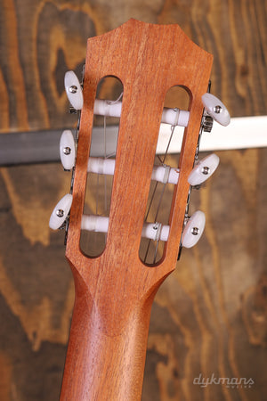 Taylor 212ce Walnuss