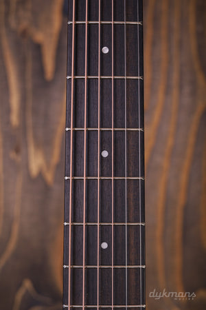 Taylor 214ce Palisander