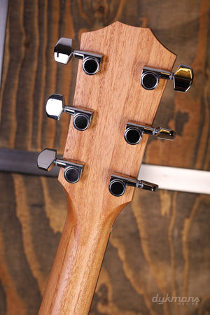 Taylor 214ce Palisander