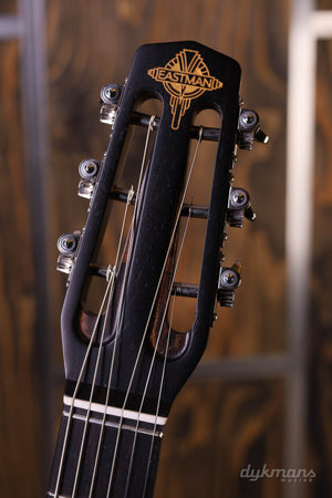 Eastman DM-1 Zigeunerklassiker