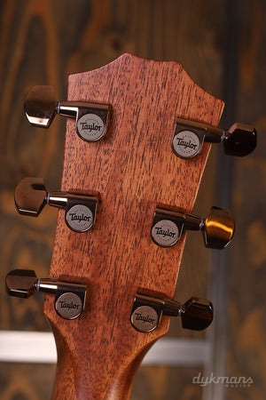 Taylor 724ce GEBRAUCHT