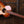 Taylor Ben Harper Gold Label 512e Special Edition