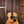 Taylor Gold Label 712e Rosewood
