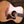 Taylor Gold Label 712e Rosewood