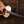 Taylor Gold Label 712e Rosewood