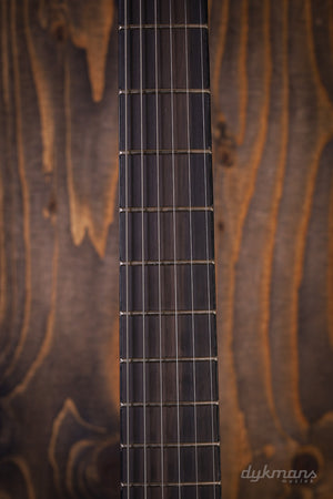 Ibanez RGR6BSP Iron Pewter