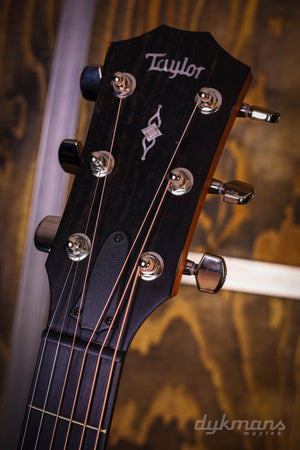 Taylor 314ce V-Klasse