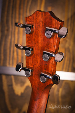 Taylor 314ce V-Klasse