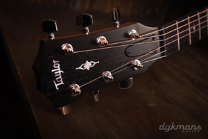 Taylor 314ce V-Klasse