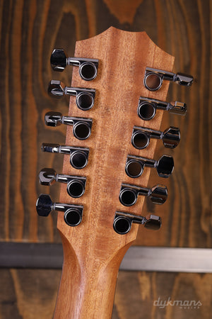 Taylor 150e 12-string