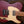 Suhr Andy Wood HH Eisen Rot